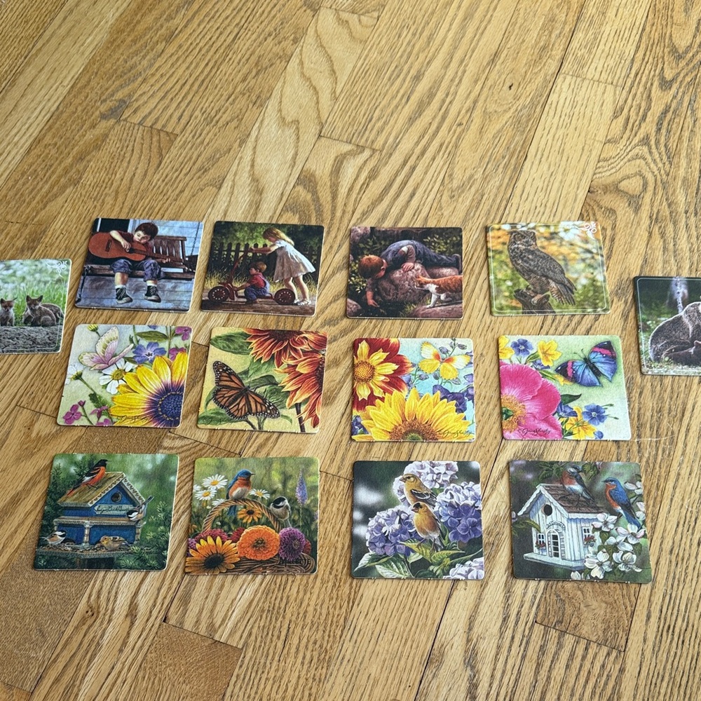 Colorful Nature-Themed Coasters Set 14 thin cardboard
